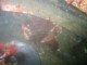 Thumbs/tn_OW102206 051.jpg